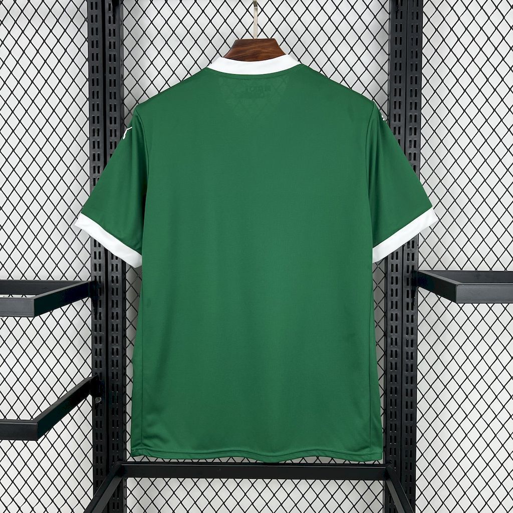 Camisola Palmeiras Principal 25/26